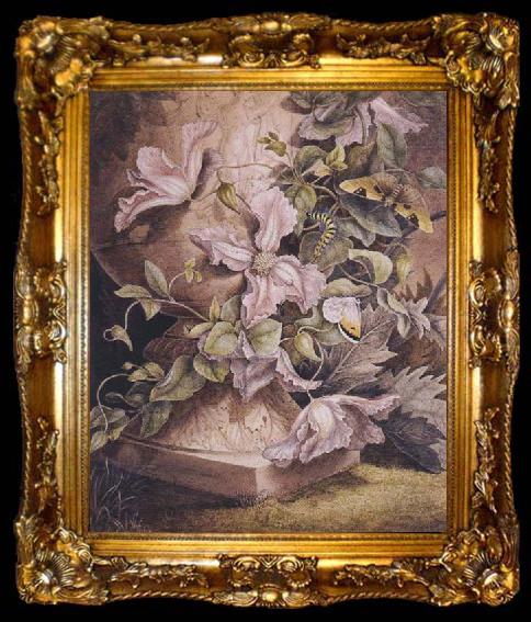 framed  Mrs Theodore Henry Fielding Still-life (mk47), ta009-2